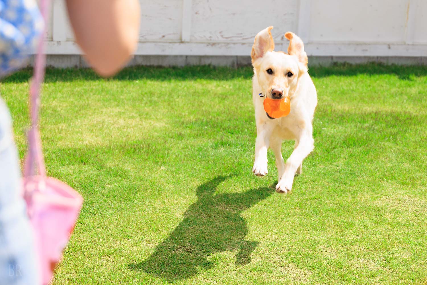 ペットと泊まれるリゾートヴィライメージ