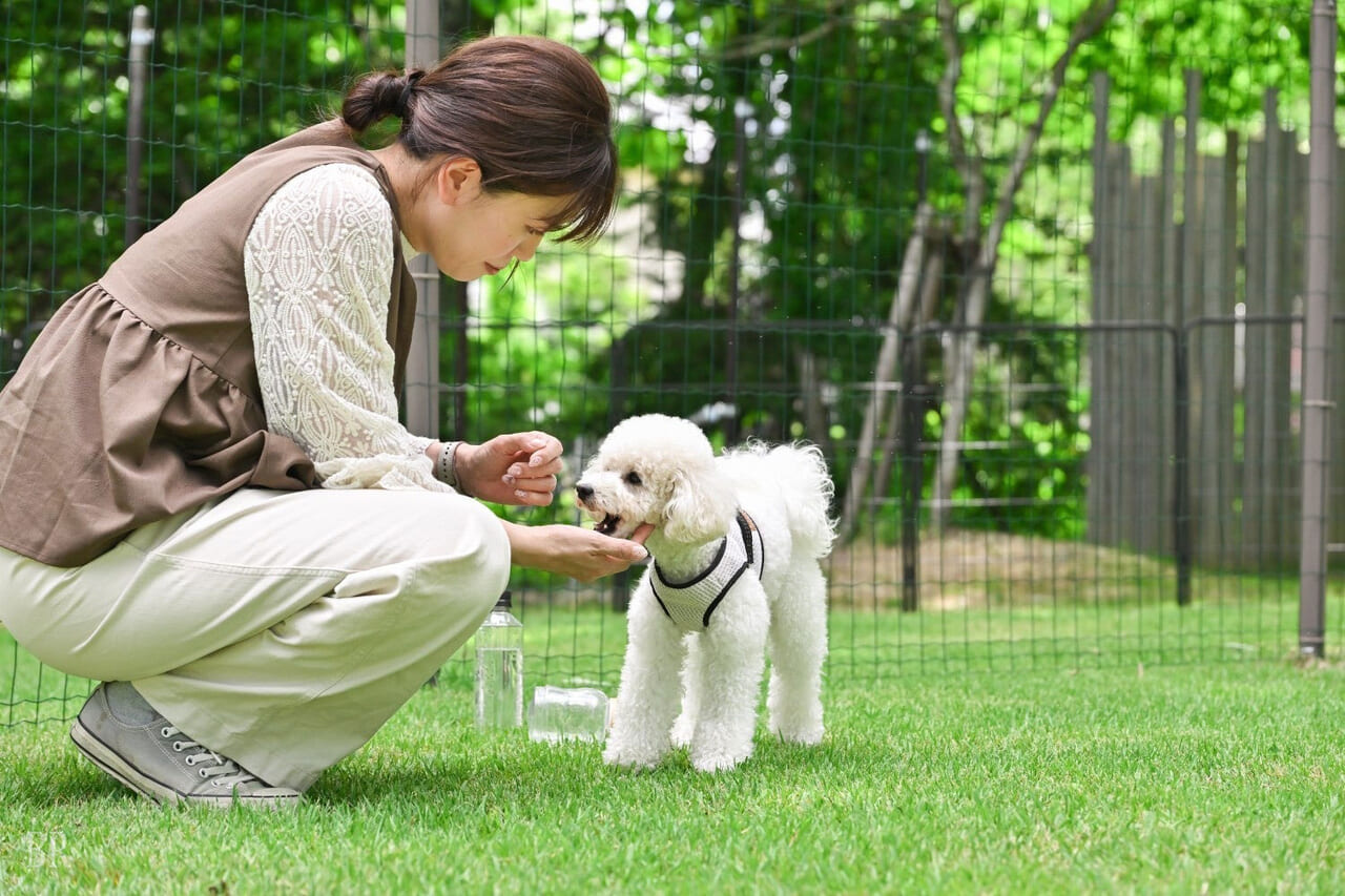 人も犬も心地よく過ごせるドッグフィールド